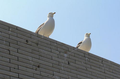 3085.jpg